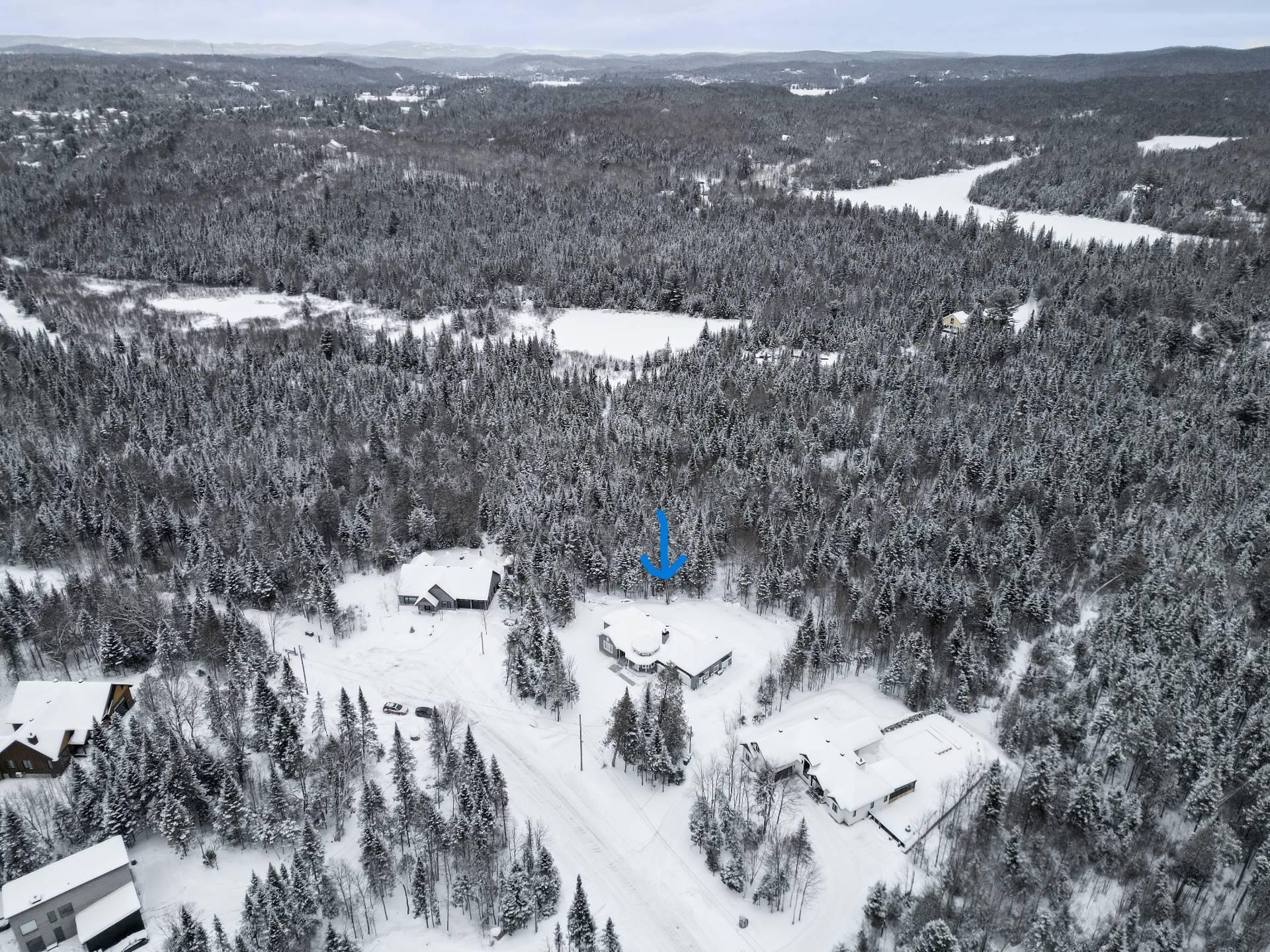 









111


Rue du Joli-Bois

,
Sainte-Marguerite-du-Lac-Masson,




QC
J0T1L0

