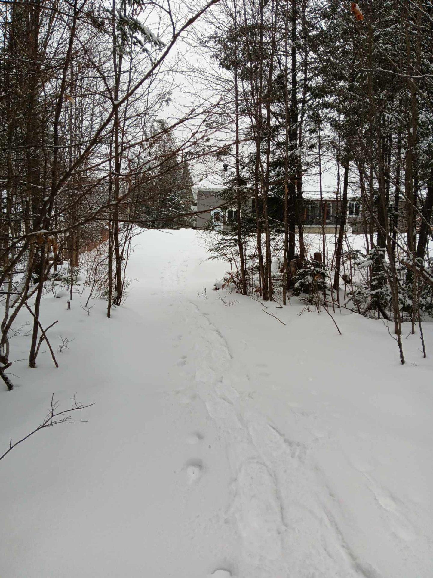 









111


Rue du Joli-Bois

,
Sainte-Marguerite-du-Lac-Masson,




QC
J0T1L0

