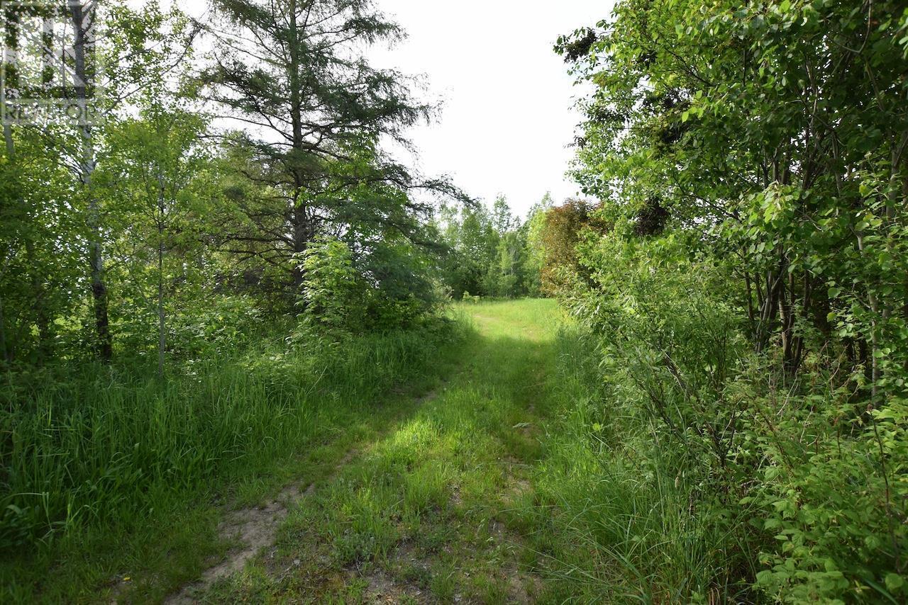 












497 acres Chiblow Lake Rd|and Brady Road

,
Patton Twp, Algoma District,




Ontario
P0R1H0

