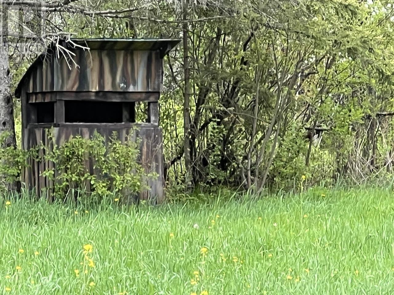 












497 acres Chiblow Lake Rd|and Brady Road

,
Patton Twp, Algoma District,




Ontario
P0R1H0

