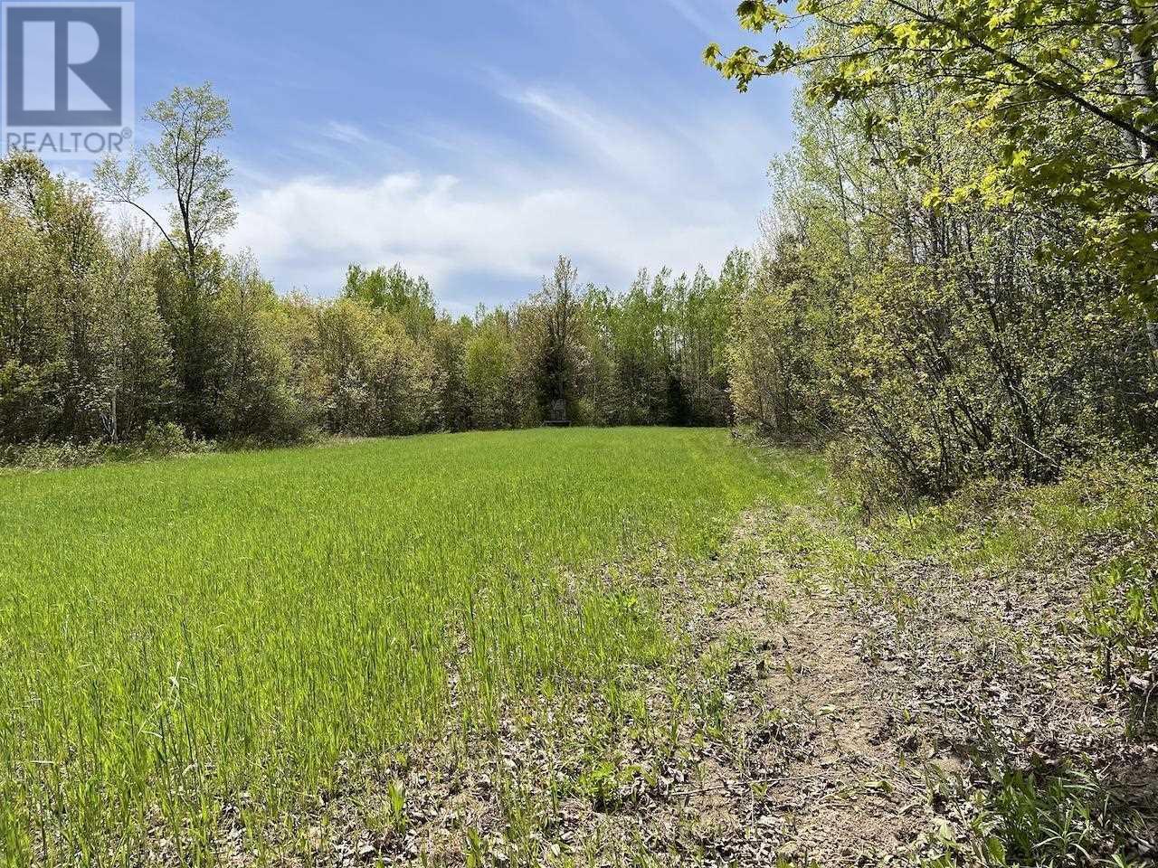 












497 acres Chiblow Lake Rd|and Brady Road

,
Patton Twp, Algoma District,




Ontario
P0R1H0

