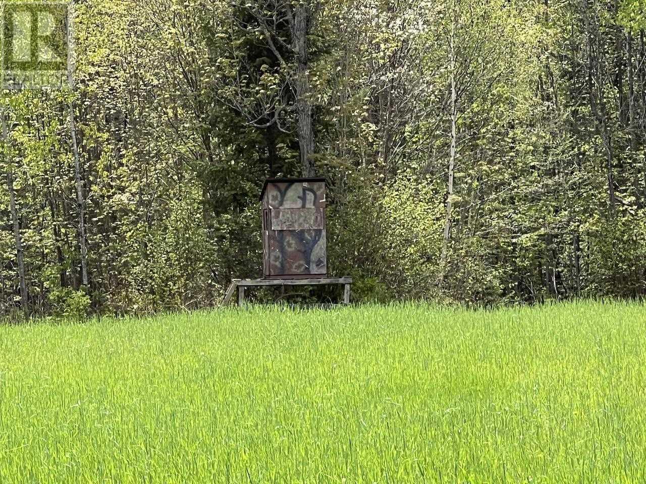 












497 acres Chiblow Lake Rd|and Brady Road

,
Patton Twp, Algoma District,




Ontario
P0R1H0

