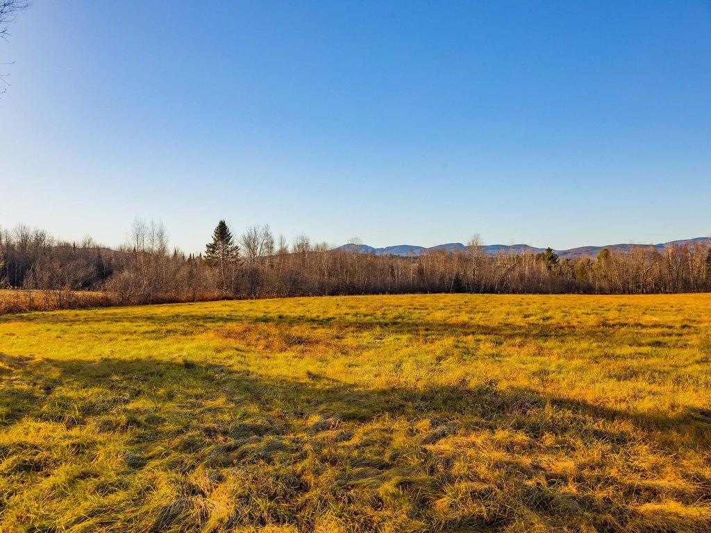









350Z


Ch. de Leadville

,
Potton,







QC
J0E1X0

