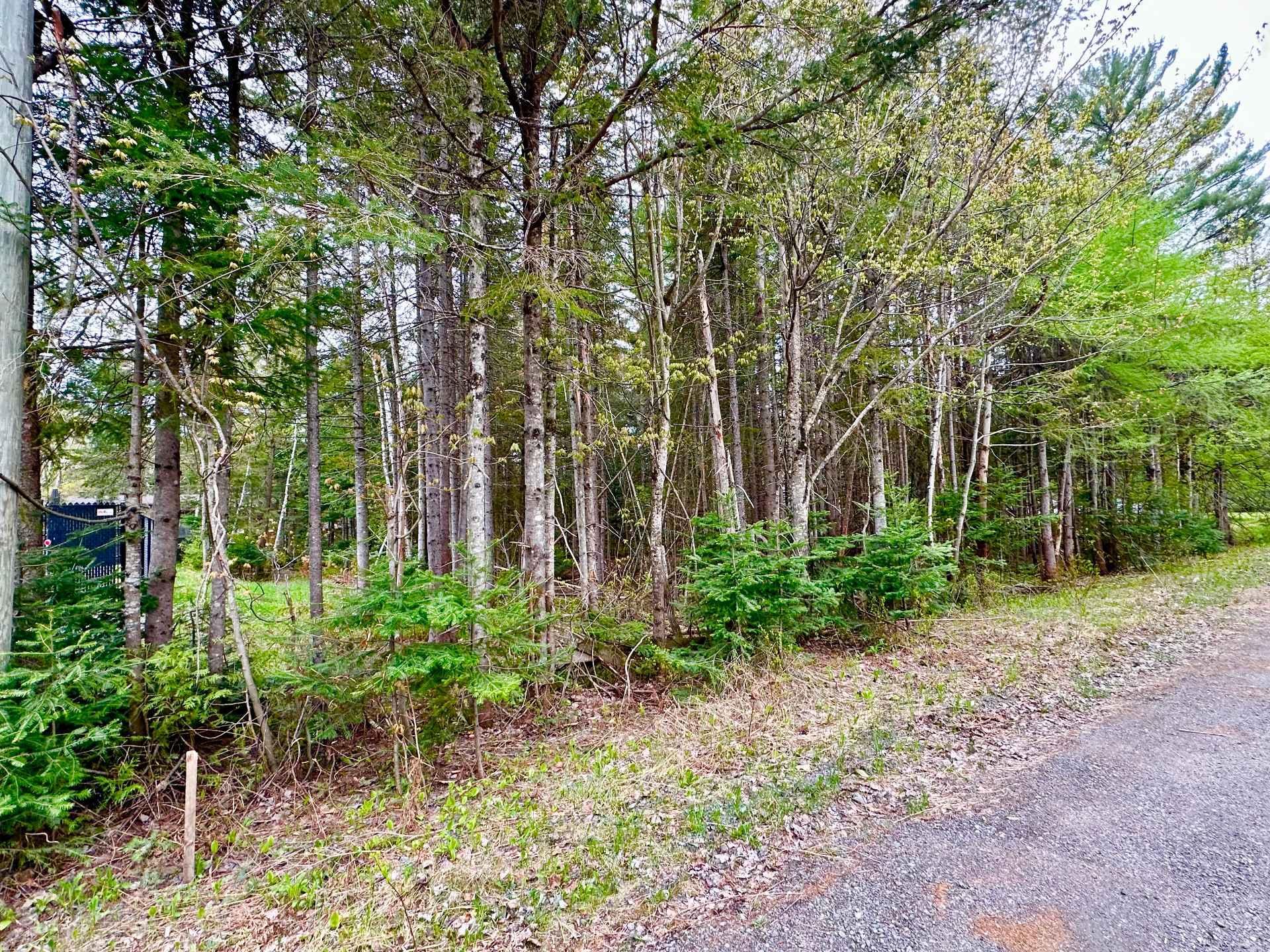 












Rue Tamarac

,
Val-David,







QC
J0T2N0

