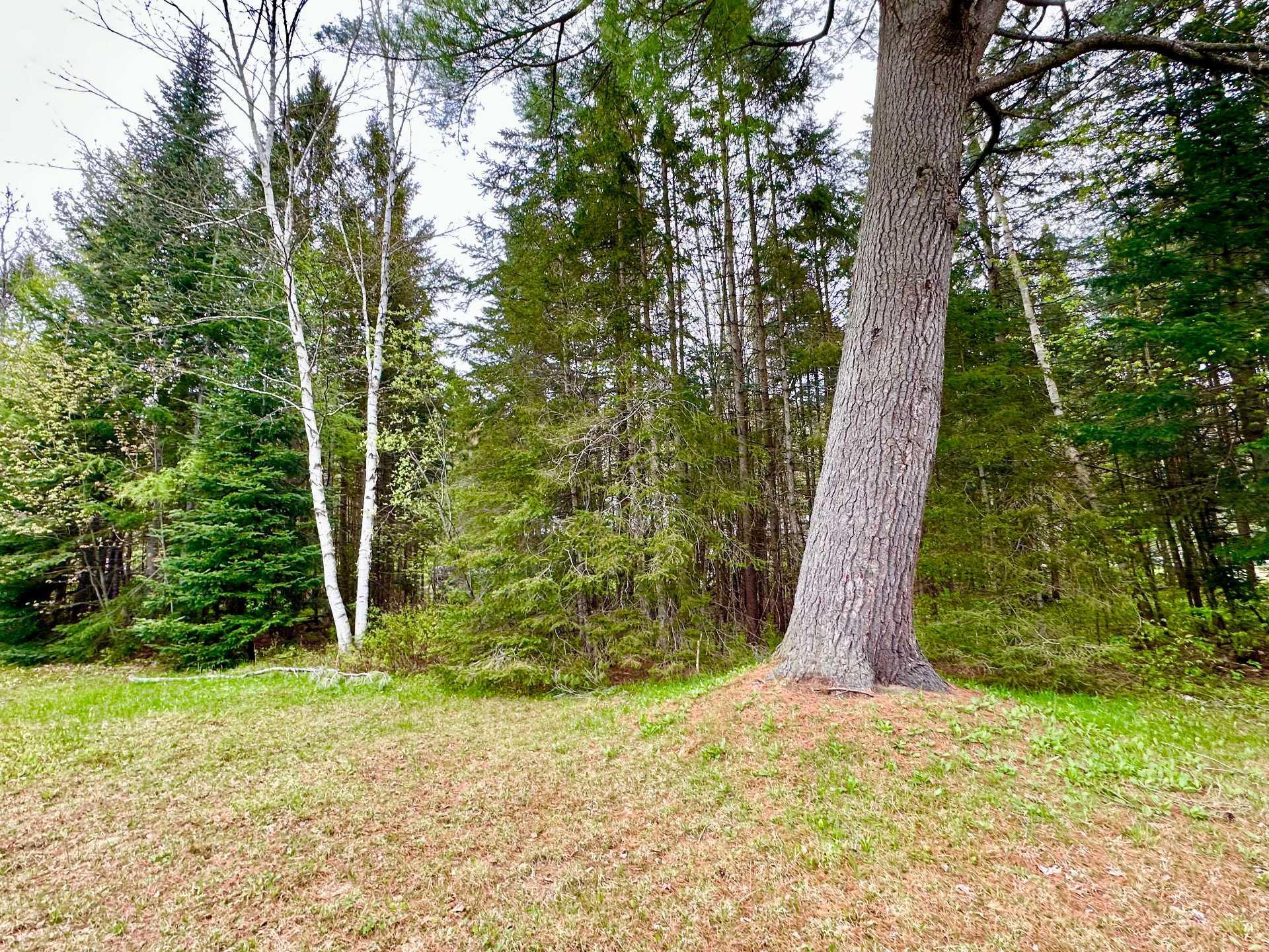 












Rue Tamarac

,
Val-David,







QC
J0T2N0

