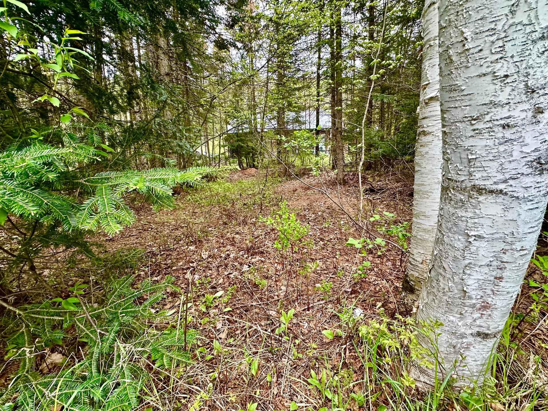 












Rue Tamarac

,
Val-David,







QC
J0T2N0

