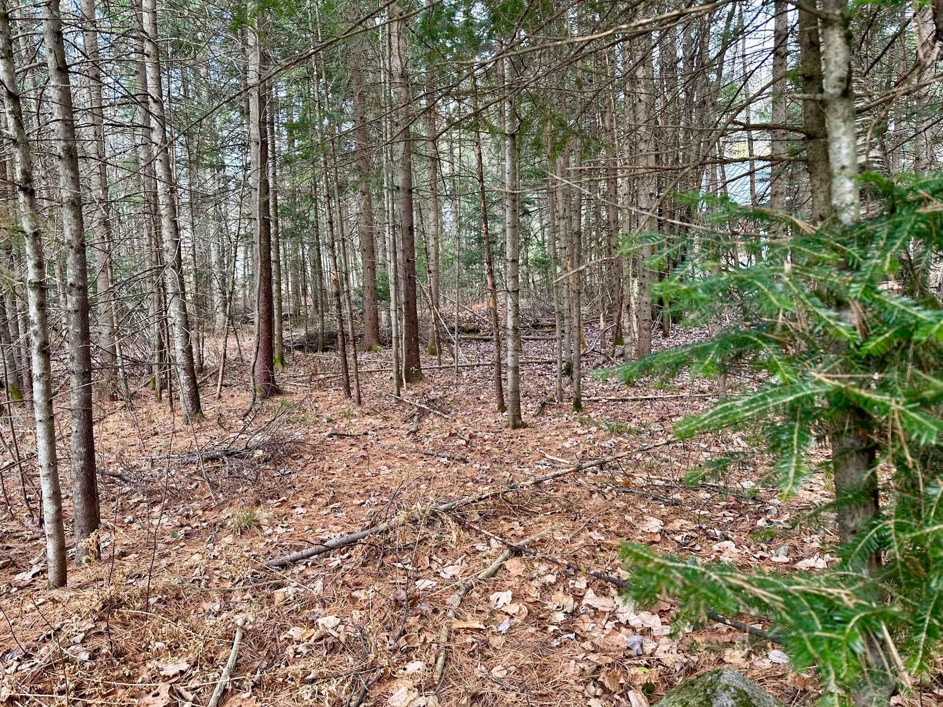 












Rue Tamarac

,
Val-David,







QC
J0T2N0

