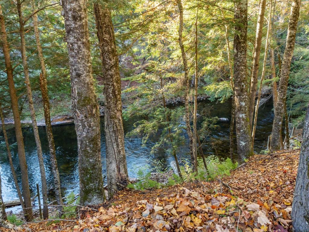 









151Z


Ch. Claude-Lefebvre

,
Mont-Tremblant,




QC
J8E1G3

