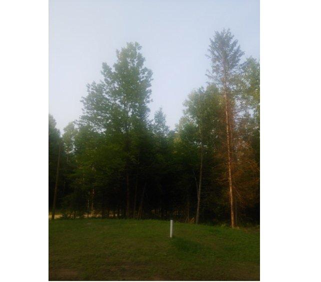 









14


Ch. de la Rive

,
L'Ange-Gardien,




QC
J8L0H6

