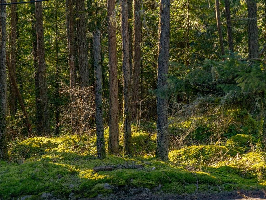 









Lot B


Renfrew

Rd,
Shawnigan Lake,







BC
V0R 2W1

