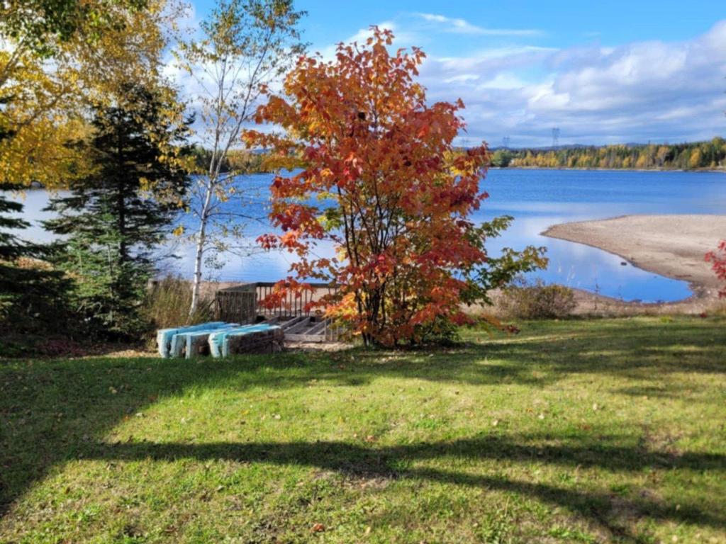 









15


Lac Daigle

,
Lac-Walker,




QC
G4R4K3

