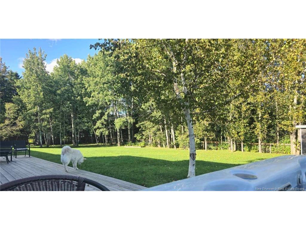 









280


Haggerty

,
North Tetagouche,




NB
E2A 4Y9

