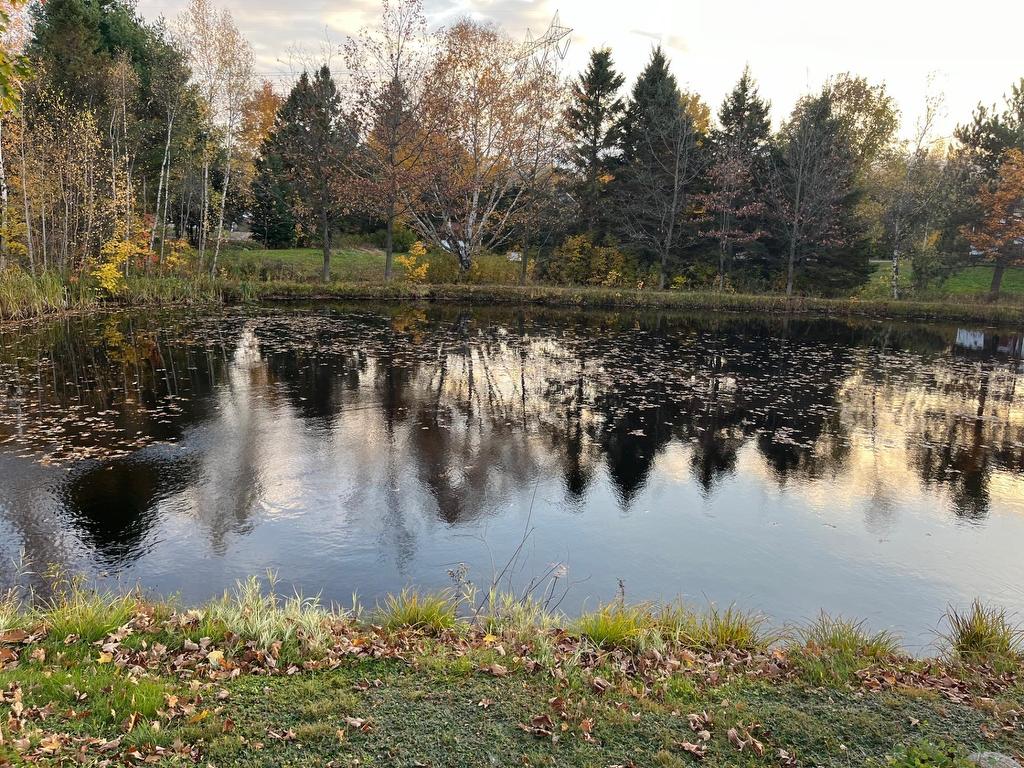 









357


Ch. Bernard

,
Saint-Barnabé,




QC
G0X2K0


