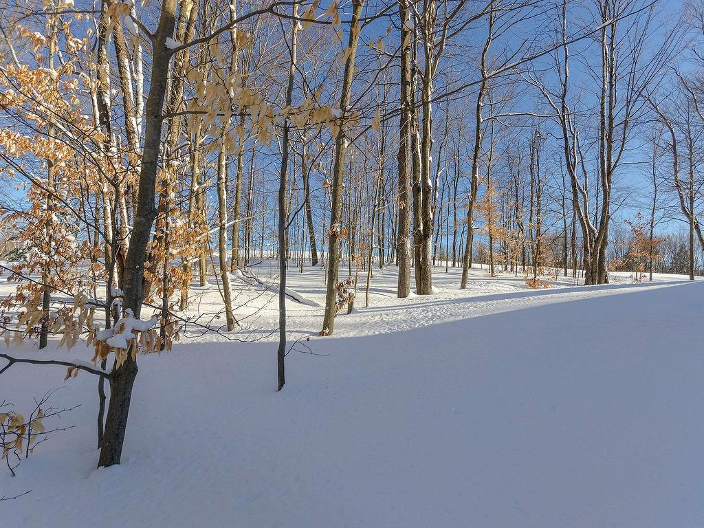 









95


Rue Academy

,
Sutton,




QC
J0E2K0


