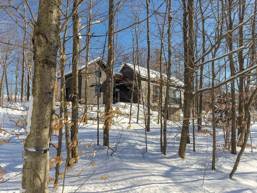 









95


Rue Academy

,
Sutton,




QC
J0E2K0

