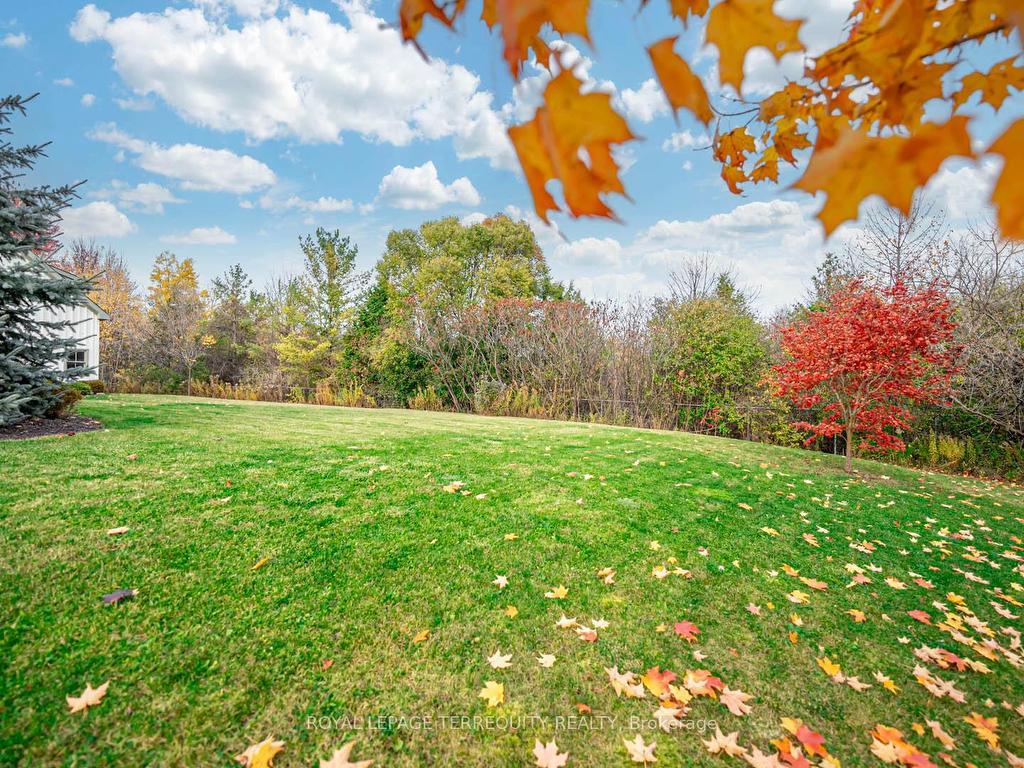 









6


Aileen Lewis

Court,
Markham,




ON
L6E 1A8


