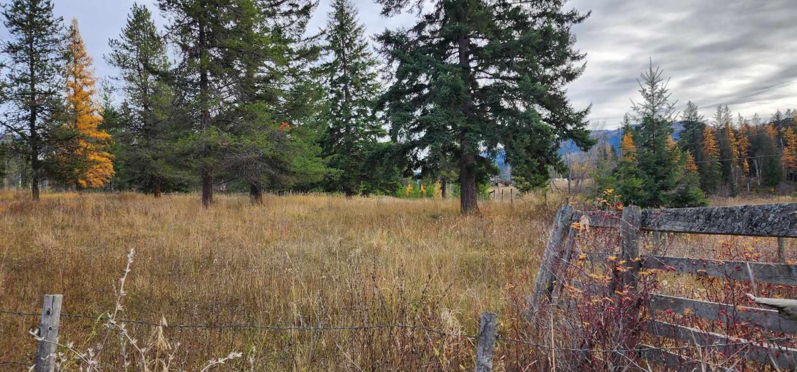 









20


Campbell

Road,
Cherryville,







BC
V0E 2G3


