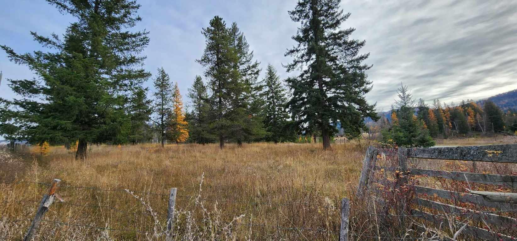 









20


Campbell

Road,
Cherryville,







BC
V0E 2G3

