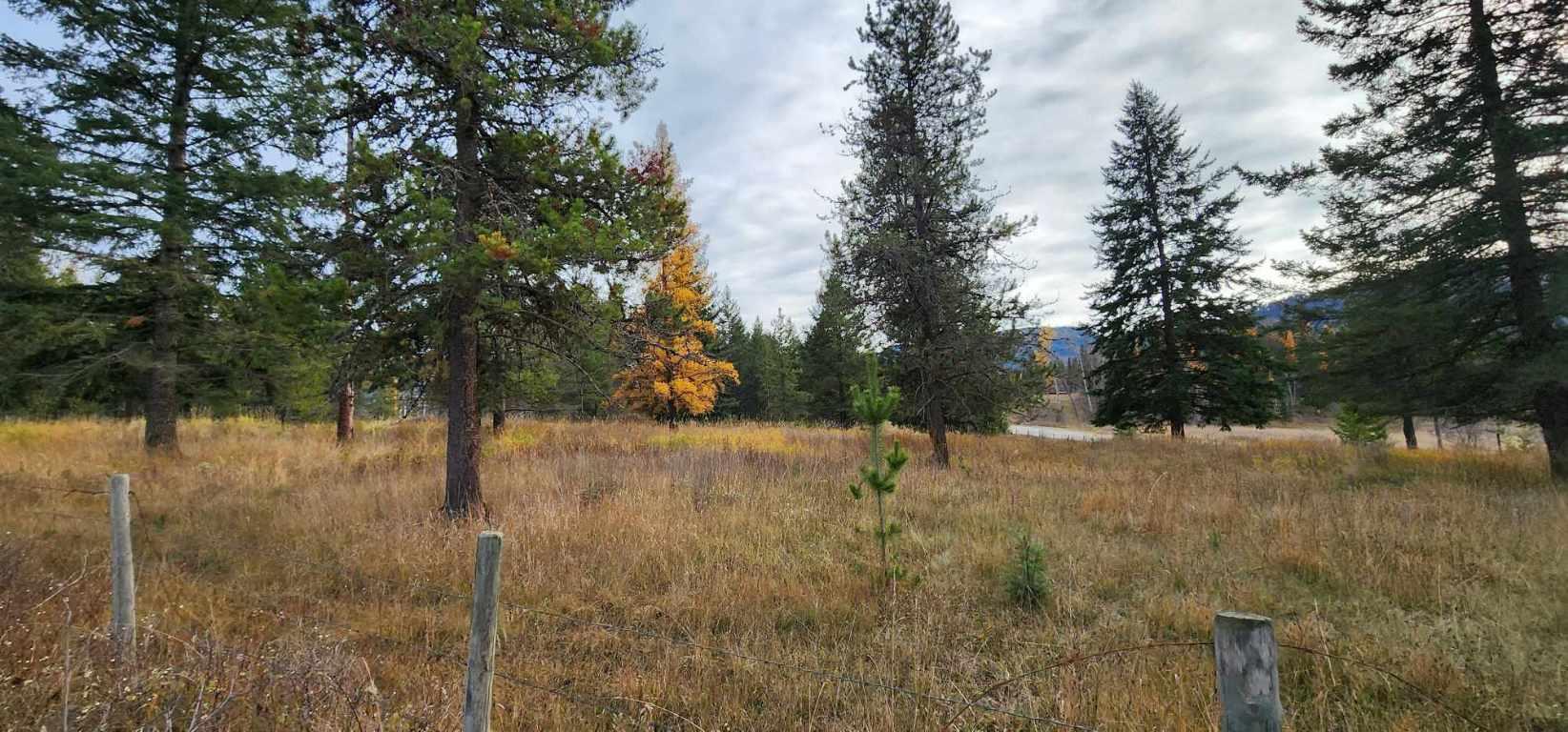 









20


Campbell

Road,
Cherryville,







BC
V0E 2G3

