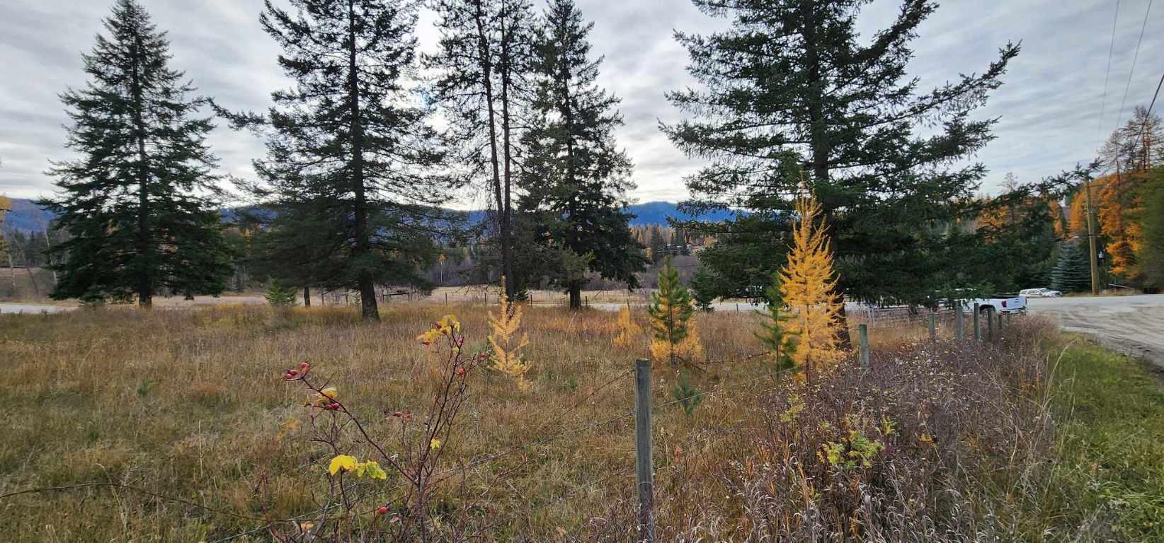 









20


Campbell

Road,
Cherryville,







BC
V0E 2G3

