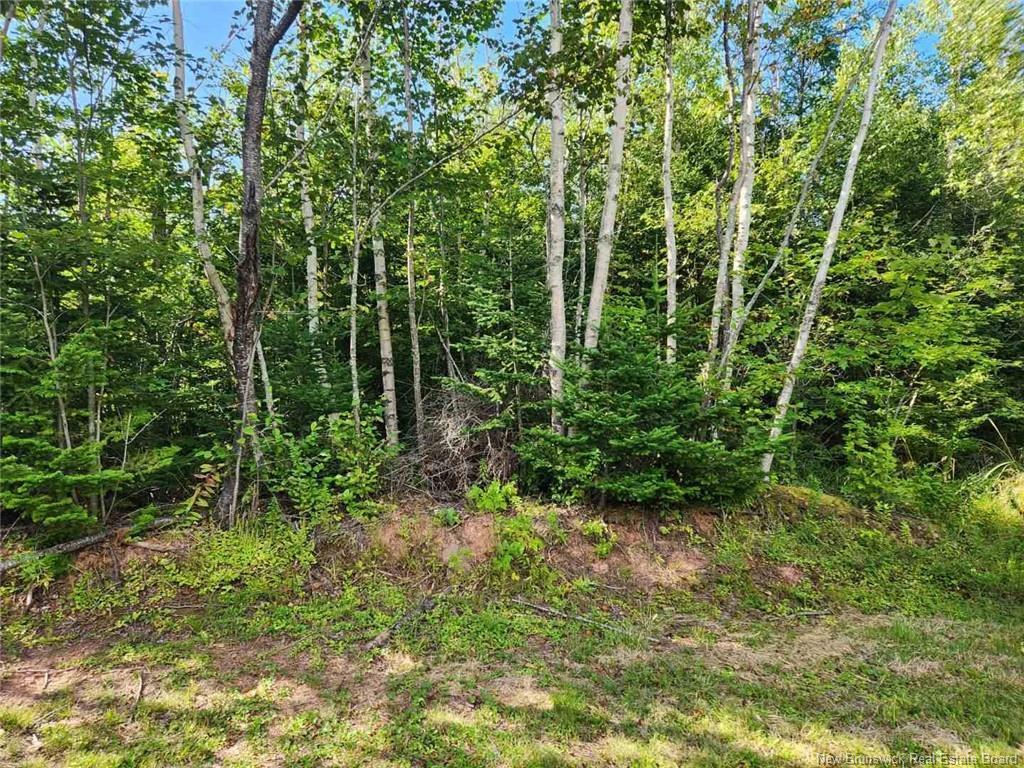 









2


Chignecto

LANE,
Wood Point,







NB
E4L 0A9

