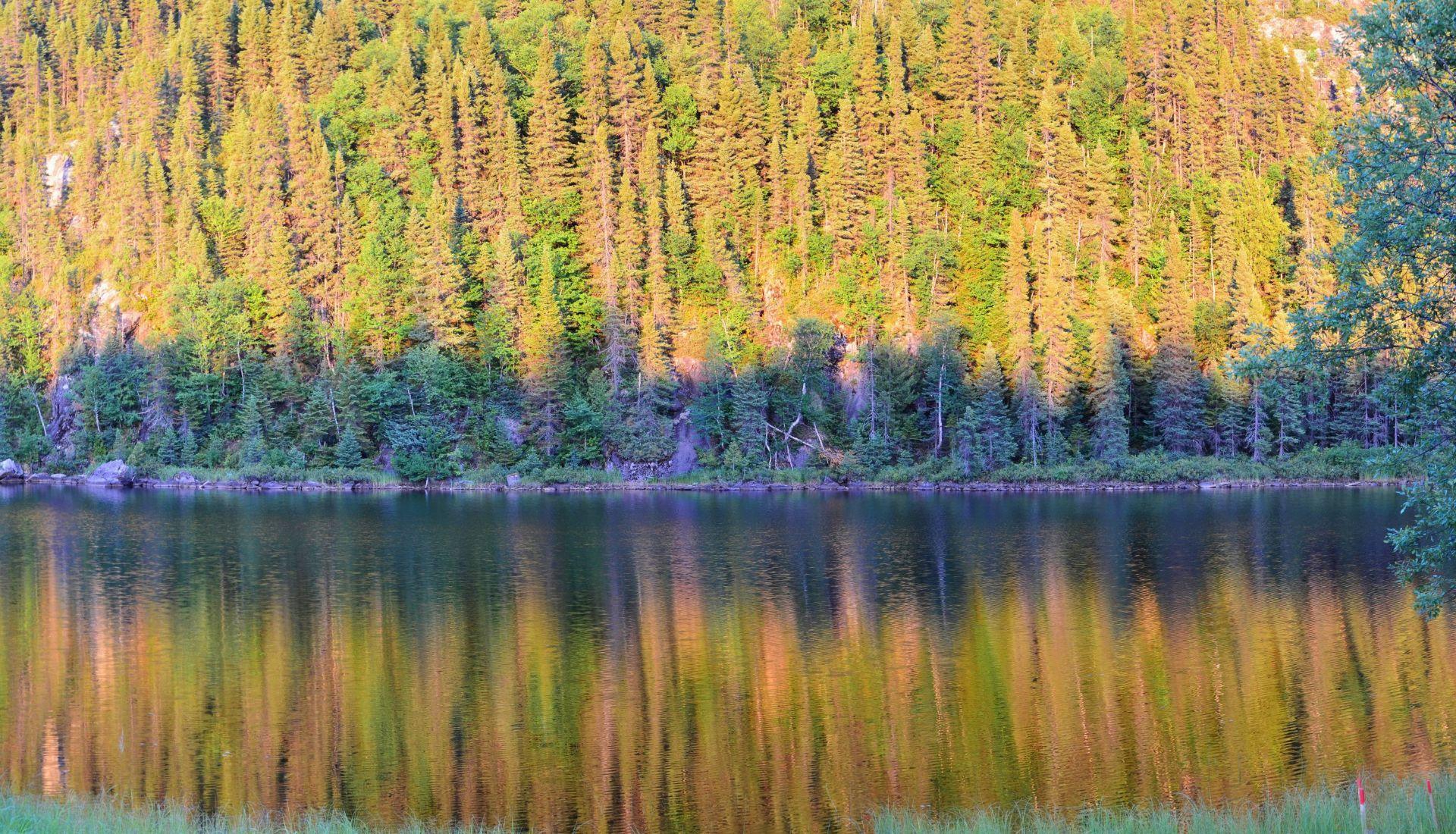 









19


Ch. du Lac-Cummings

,
Chibougamau,




QC
G8P0A8

