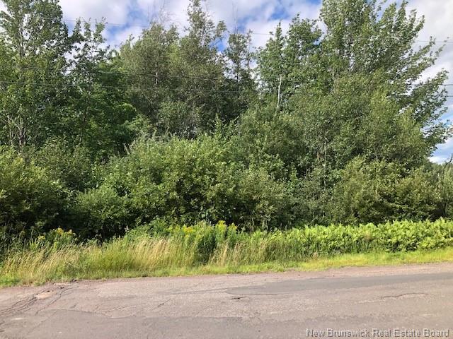 









890


Rue Des Dallaires

,
Sainte-Marie-De-Kent,







NB
E4S 1S8

