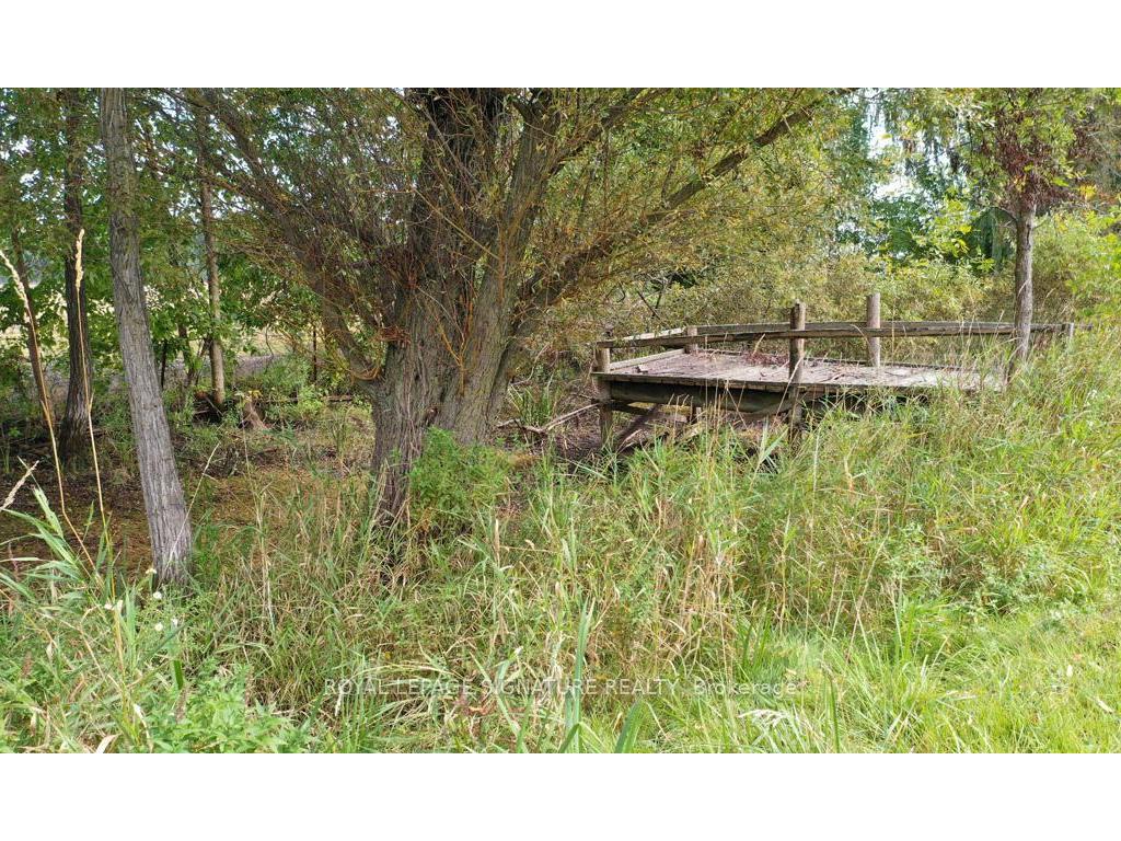 









6115


Eighth

Line,
Milton,




ON
L9E 1A4

