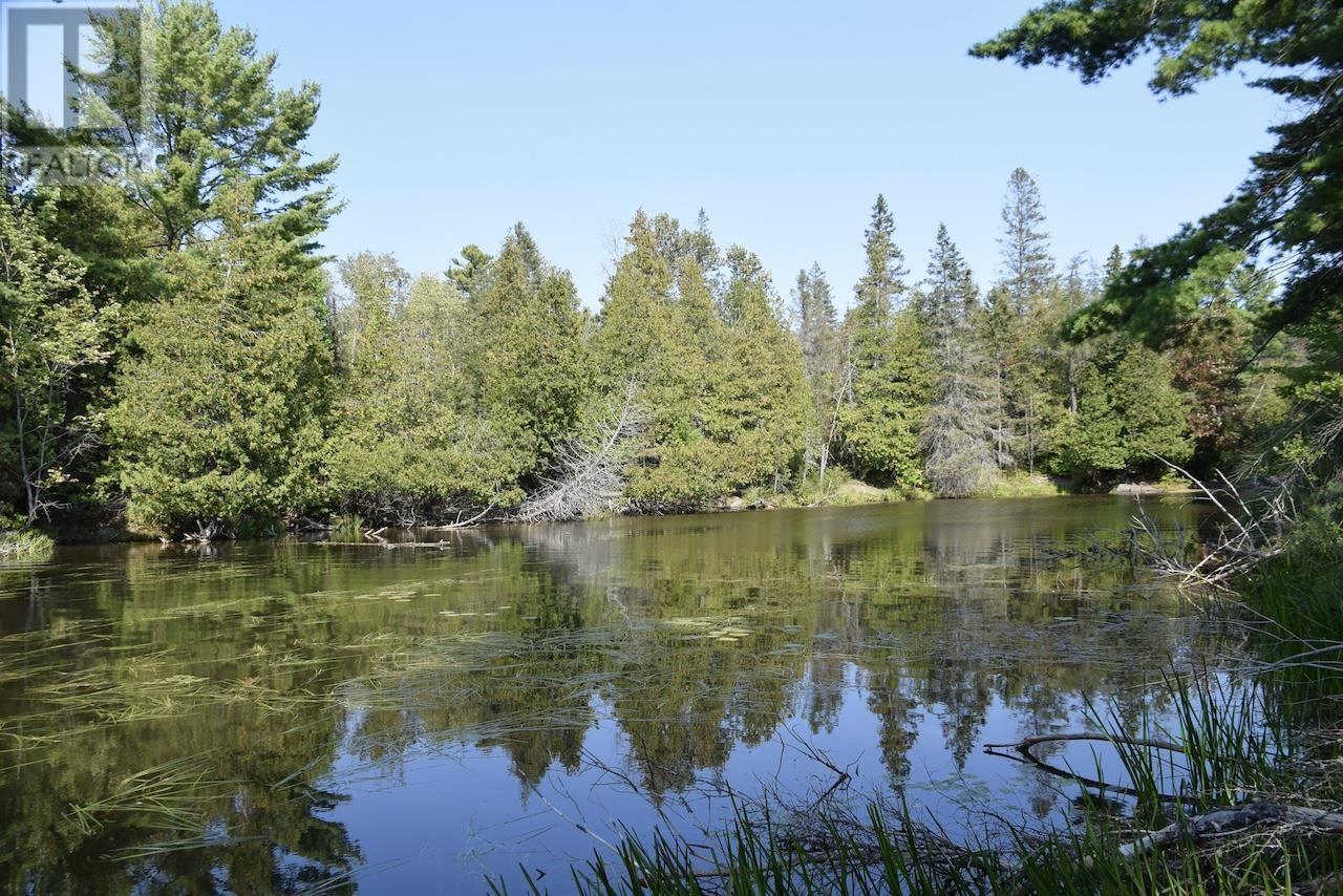 












PCL 1150 Cranberry Creek at Lake Duborne

,
Blnd River,







Ontario
P0R1B0

