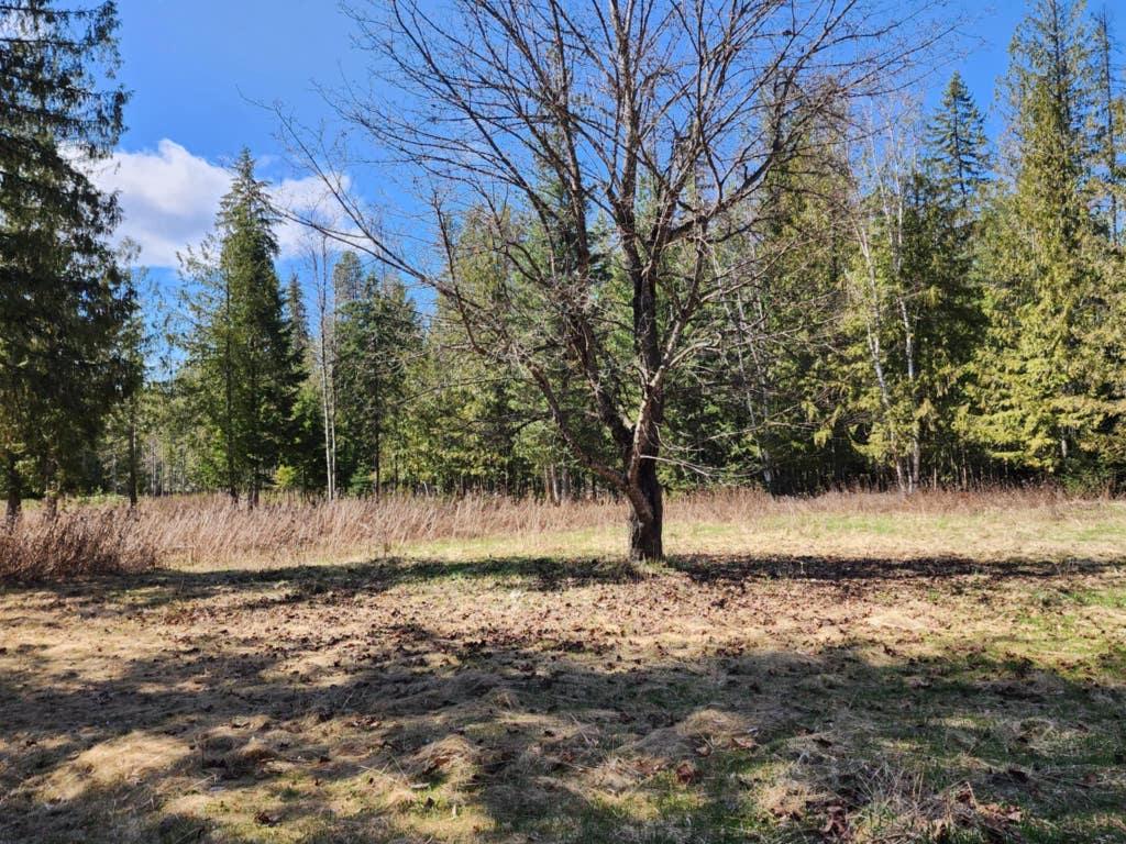 









692


North Fork

Road,
Cherryville,




BC
V0E 2G3

