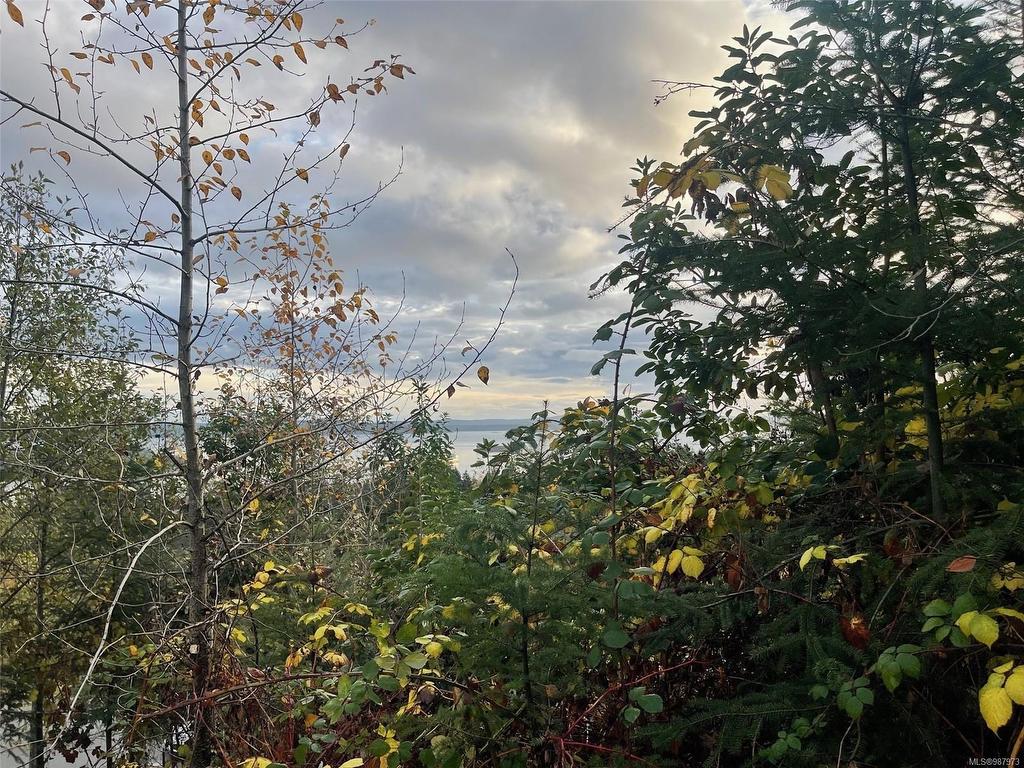 









436


Thetis

Dr,
Ladysmith,







BC
V9G 0A8

