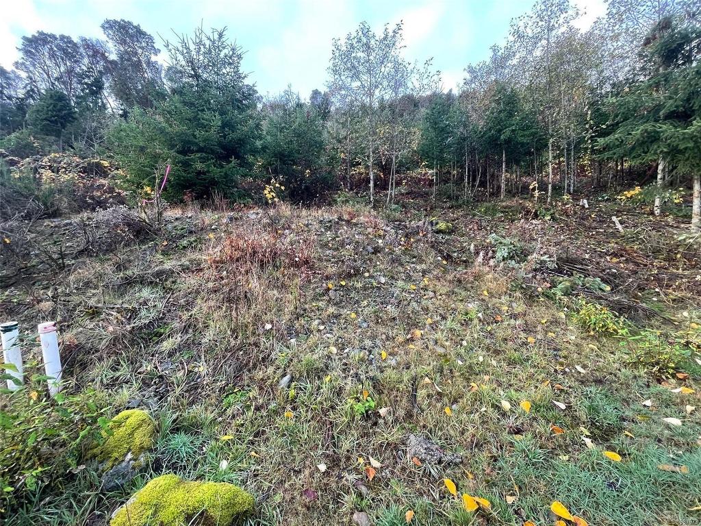 









436


Thetis

Dr,
Ladysmith,







BC
V9G 0A8


