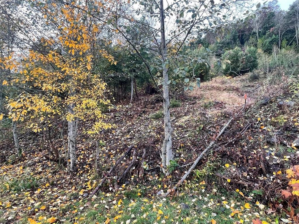 









436


Thetis

Dr,
Ladysmith,







BC
V9G 0A8

