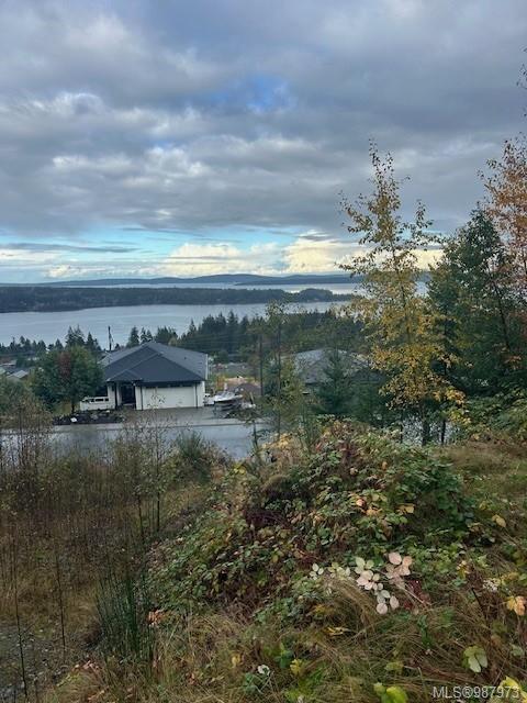 









436


Thetis

Dr,
Ladysmith,







BC
V9G 0A8

