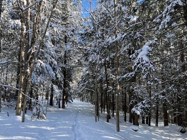 









407Z


Ch. du Mont-Écho

,
Sutton,




QC
J0E2K0

