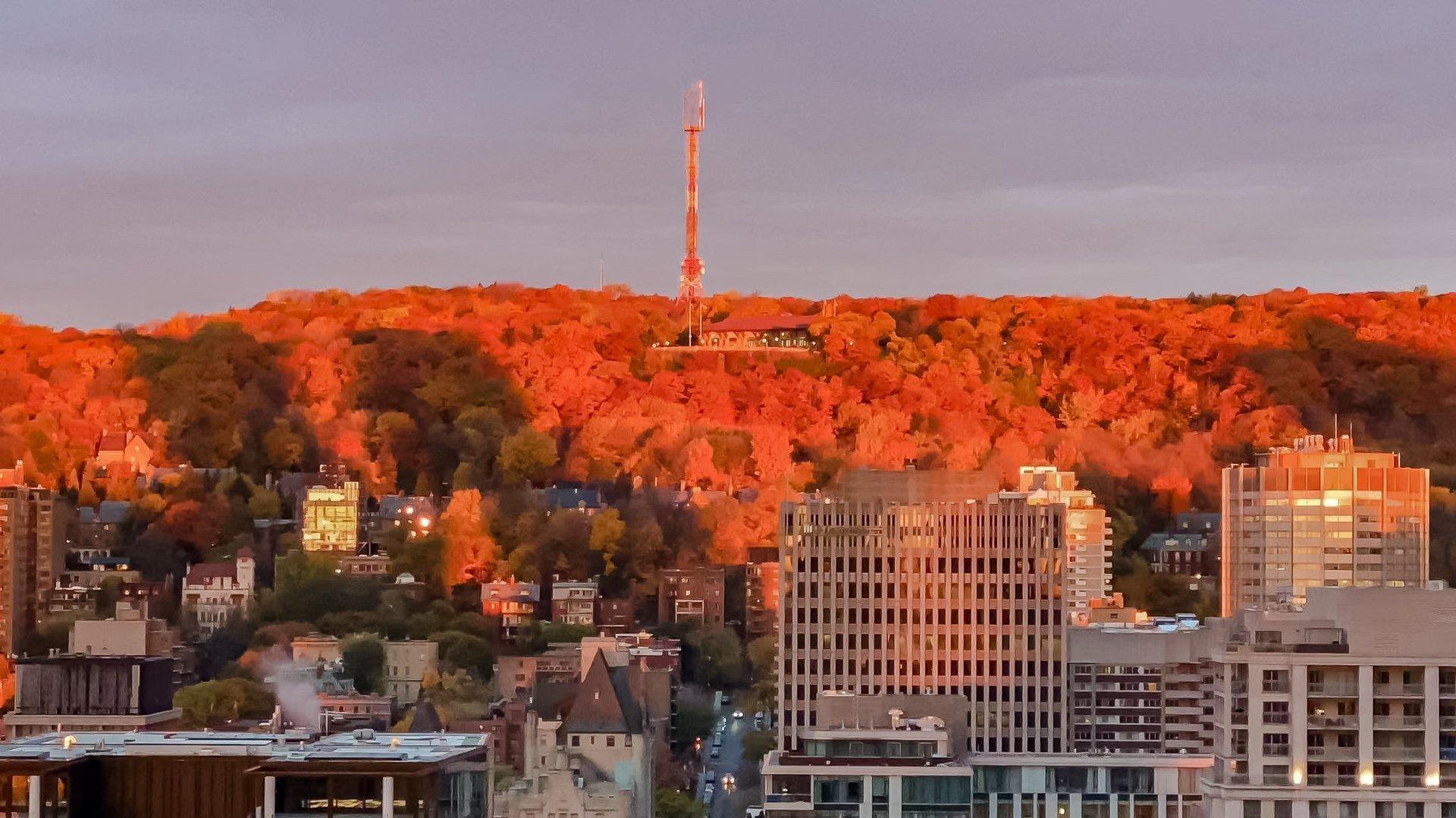 









1155


Rue de la Montagne

, 2501,
Montréal (Ville-Marie),




QC
H3G0C7


