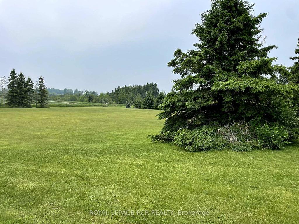 









293129


8th

Line,
Amaranth,




ON
L9W 0J6

