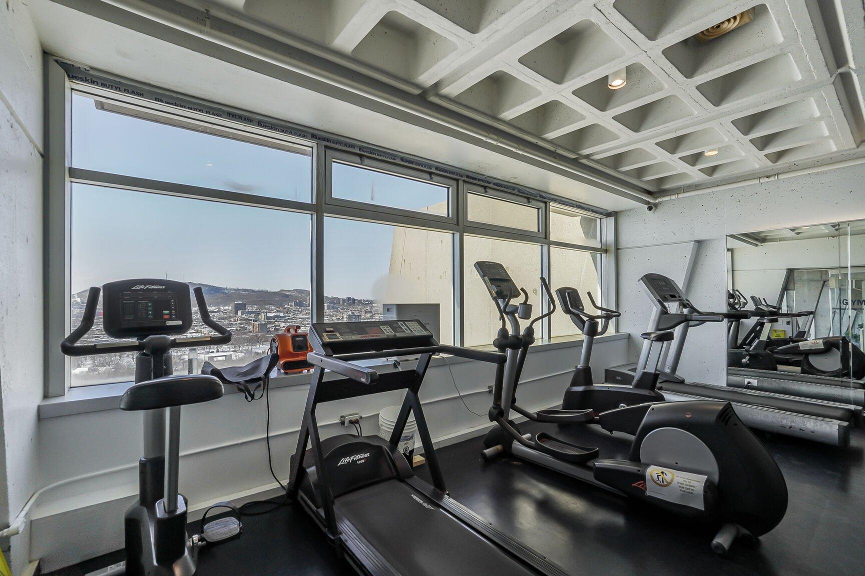 









3535


Av. Papineau

, 1401,
Montréal (Le Plateau-Mont-Royal),




QC
H2K4J9

