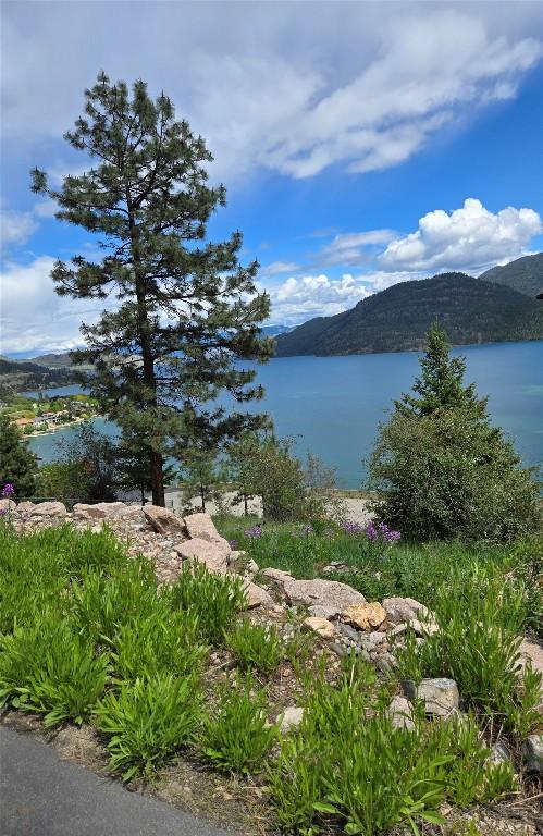 









16864


Gatzke

Road,
Oyama,




BC
V4V 2J1

