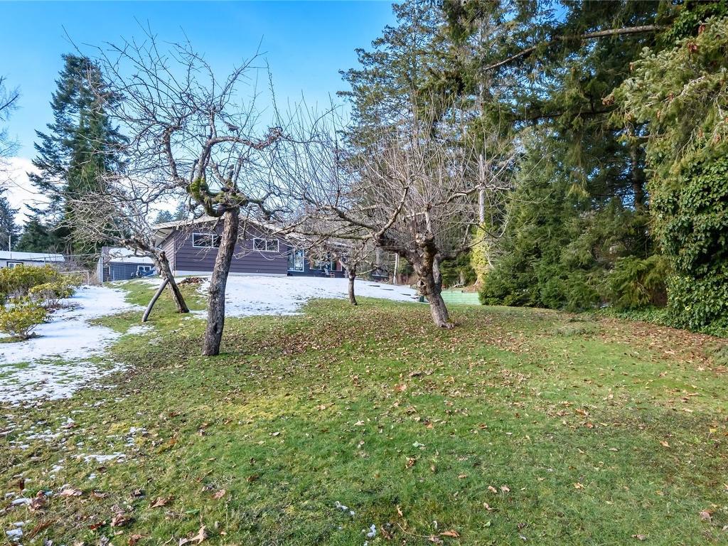 









3479


Fraser

Rd,
Courtenay,




BC
V9N 9P5

