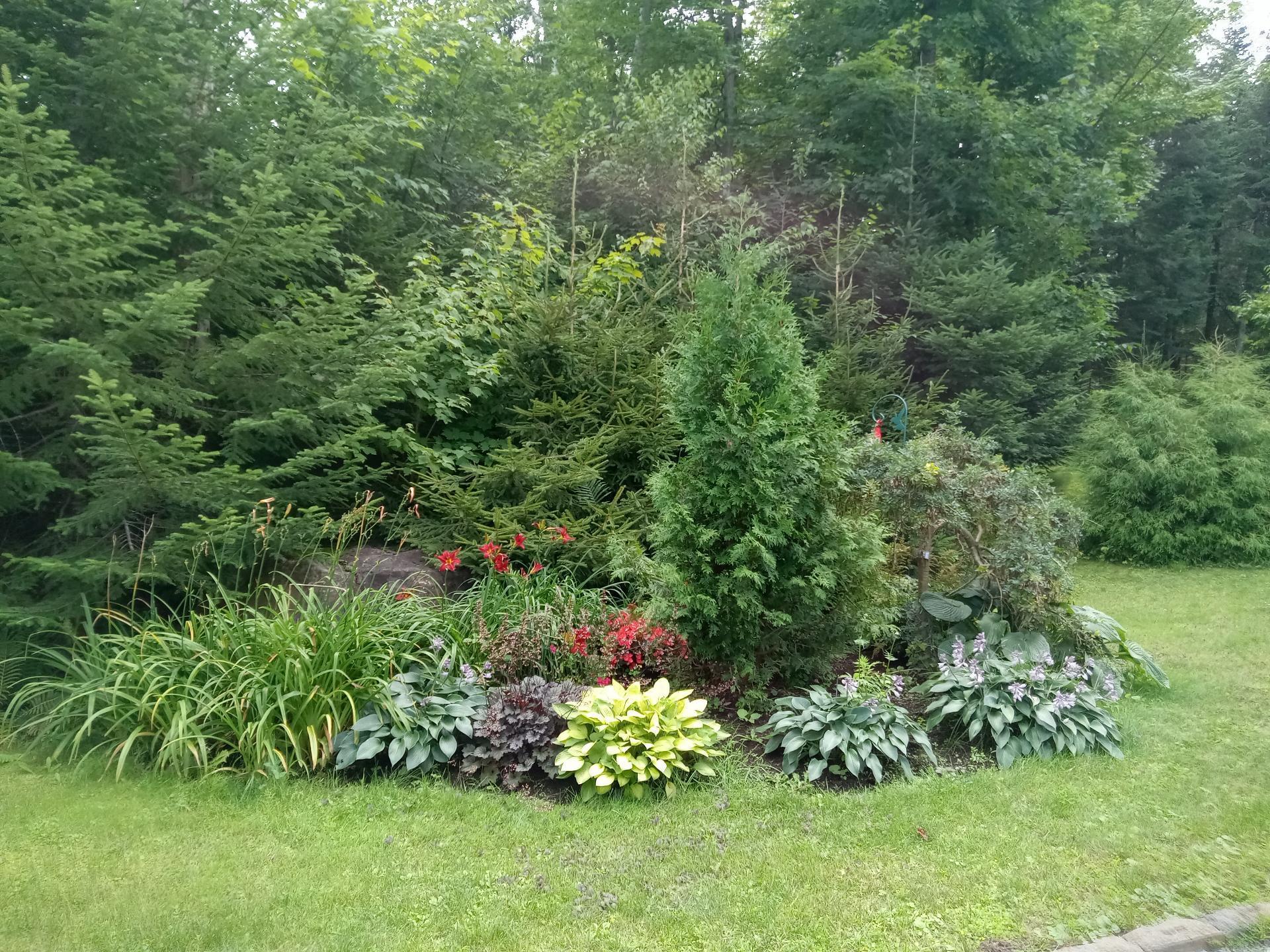 









29


Ch. des Mésanges

,
Sainte-Anne-des-Lacs,




QC
J0R1B0

