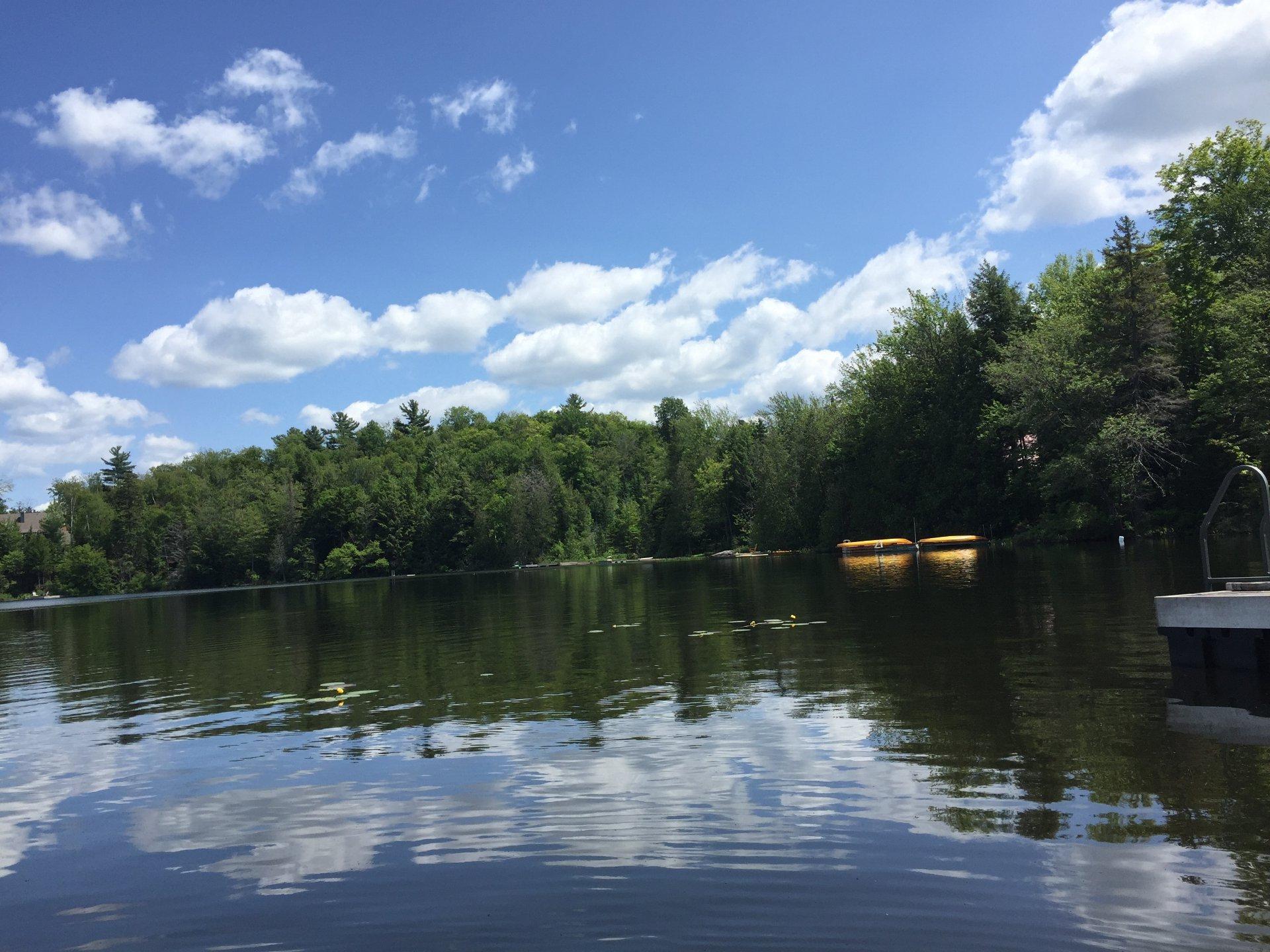 









29


Ch. des Mésanges

,
Sainte-Anne-des-Lacs,




QC
J0R1B0

