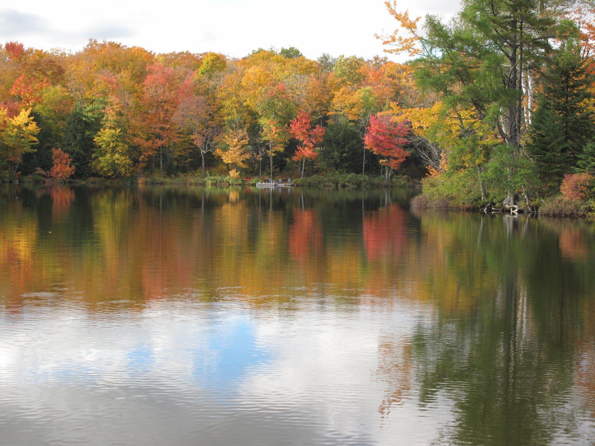 









29


Ch. des Mésanges

,
Sainte-Anne-des-Lacs,




QC
J0R1B0

