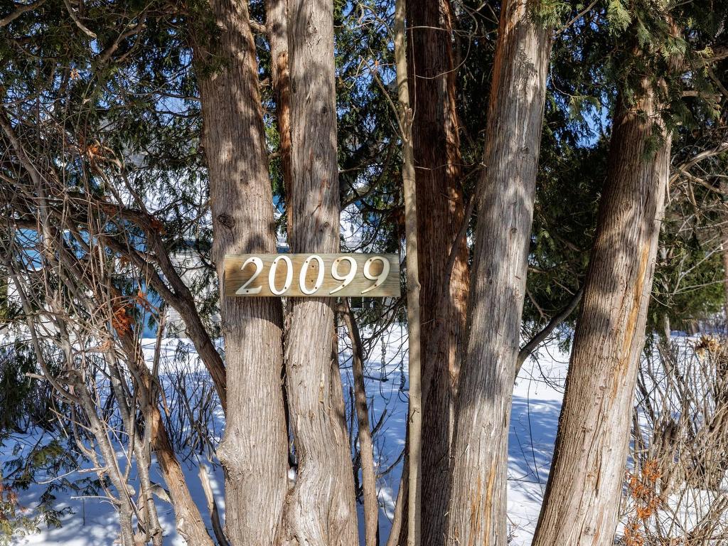 









20099


Ch. Lakeshore

,
Baie-d'Urfé,




QC
H9X1P6

