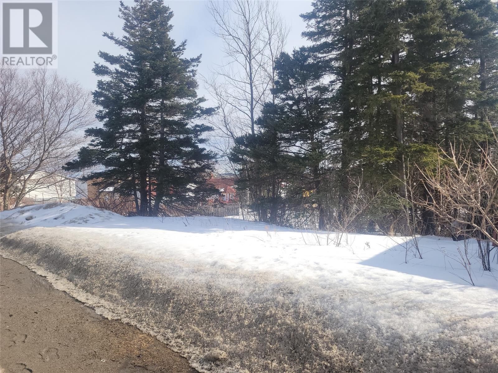 












74 Hillview Avenue

,
Stephenville,







Newfoundland & Labrador
A2N1T1

