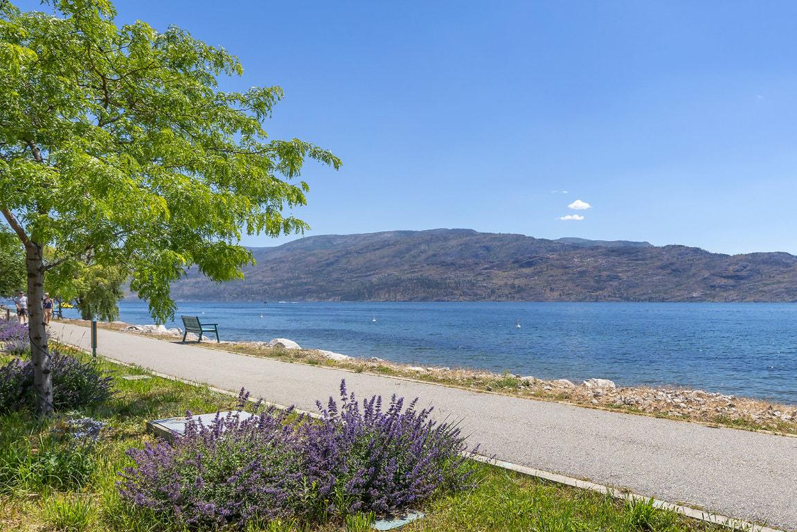 









4340B


Beach

Avenue, 209,
Peachland,




BC
V0H 1X0

