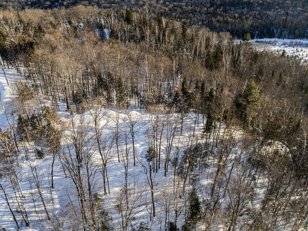 












Prom. des Cervidés

,
Morin-Heights,







QC
H0R1H0

