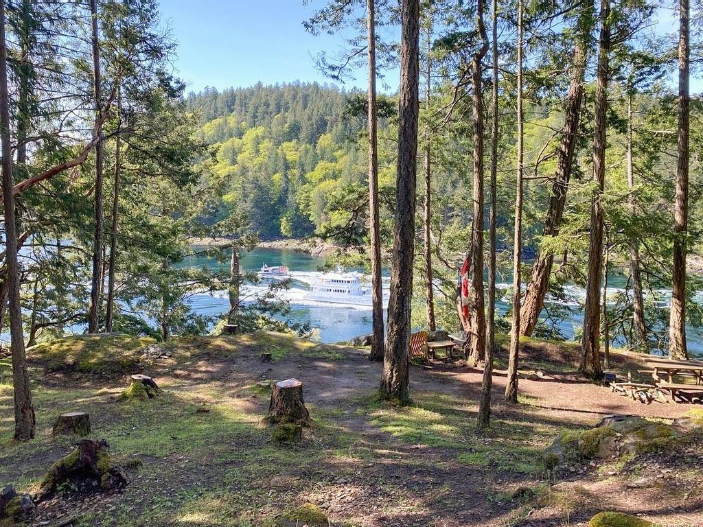 









211


Halibut

Hill,
Mudge Island,




BC
V0R 1X6

