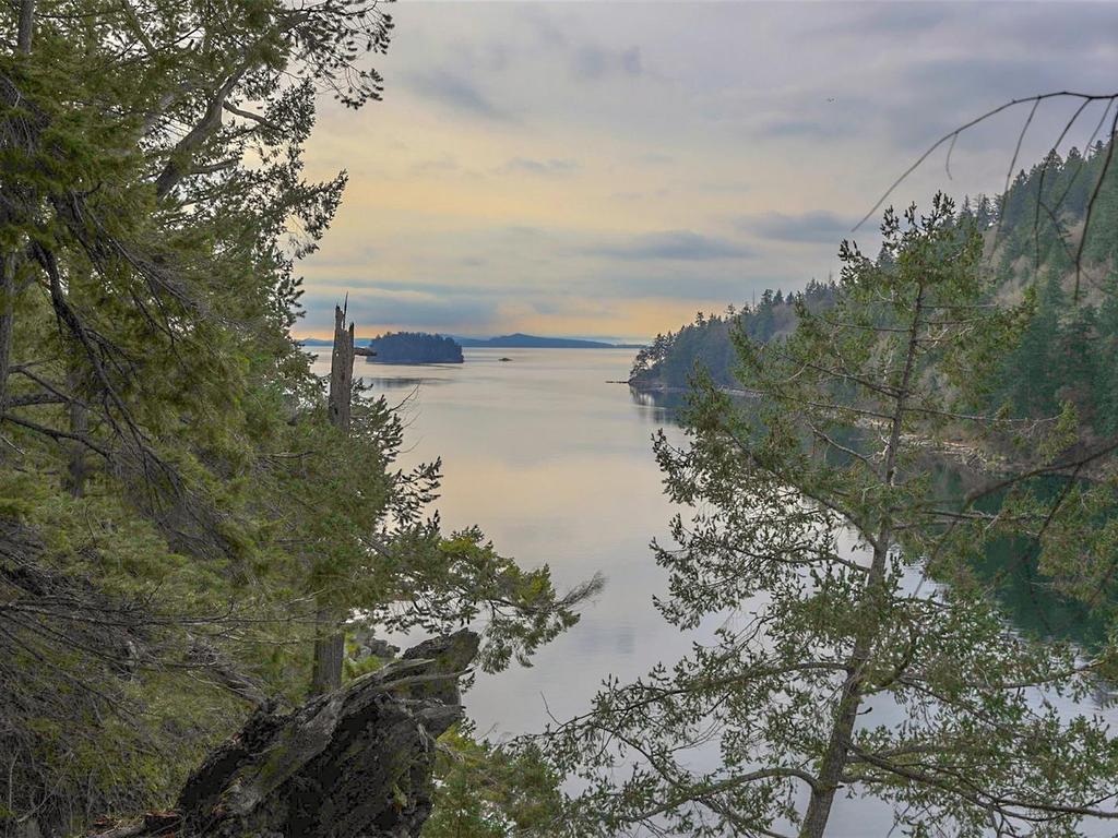 









211


Halibut

Hill,
Mudge Island,




BC
V0R 1X6

