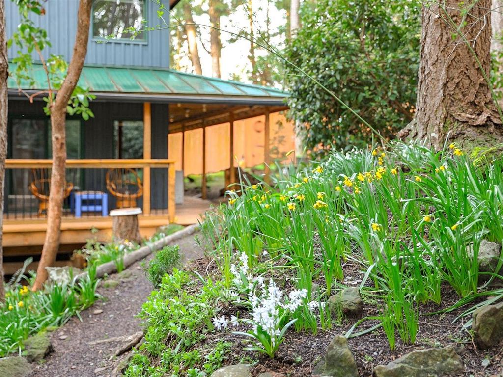 









211


Halibut

Hill,
Mudge Island,




BC
V0R 1X6

